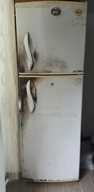 LG Refrigerator 290L