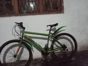 DSI Mountain Bicycle