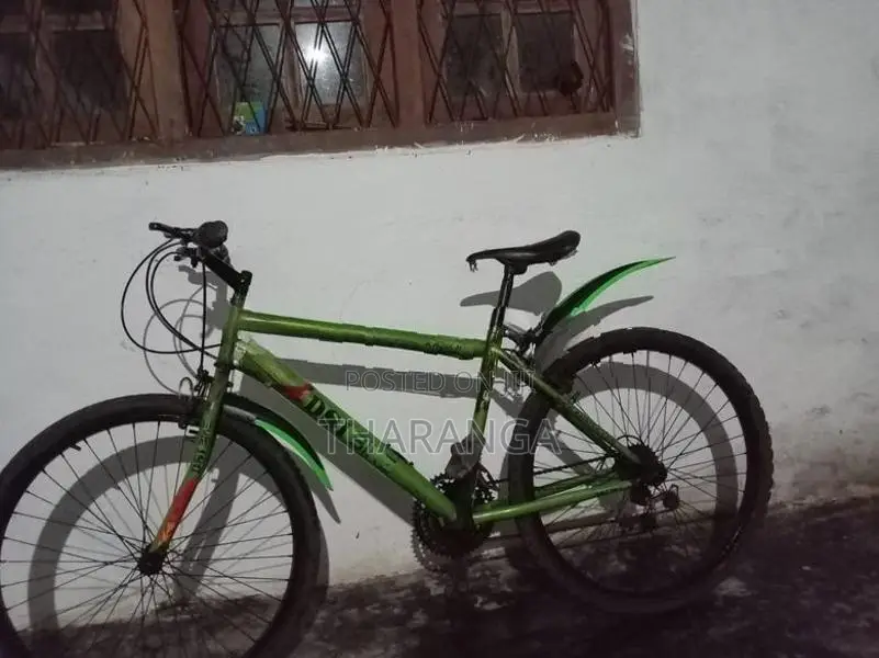 DSI Mountain Bicycle