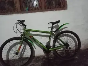 DSI Mountain Bicycle