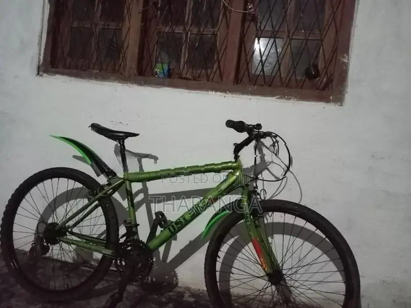 DSI Mountain Bicycle