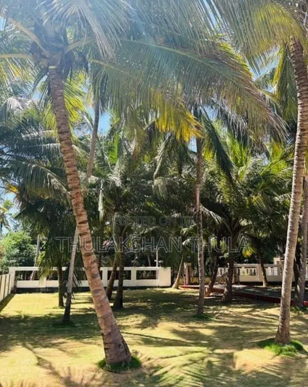 Puttalam Premium Luxury Villa – 1 Acre
