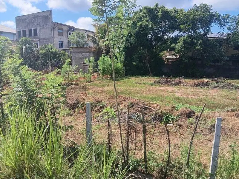 Land For Rent in Kegalle