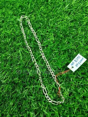 Silver Chain