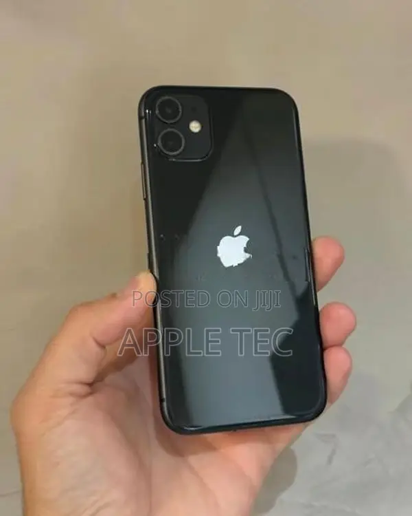 Apple iPhone 11 256GB (Used)