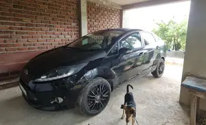 Ford Fiesta 2014