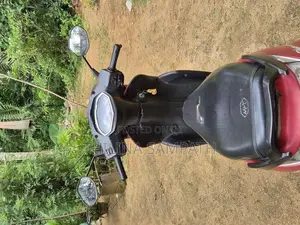 Hero Pleasure 2015