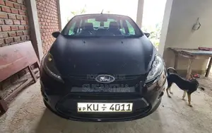 Ford Fiesta 2014
