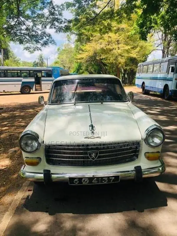 Peugeot 404 1973