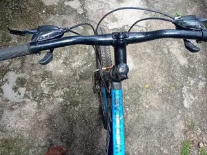 Lumala Bicycle
