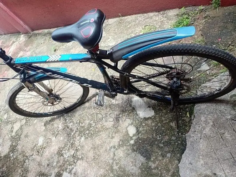 Lumala Bicycle