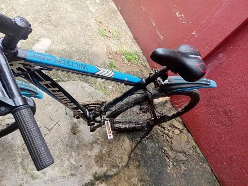 Lumala Bicycle