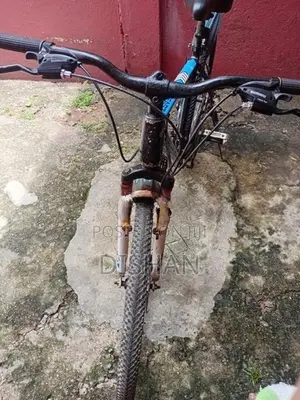 Lumala Bicycle