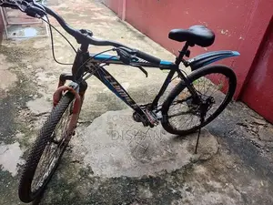 Lumala Bicycle