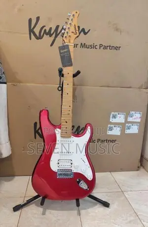 Electric Guitar Brand New