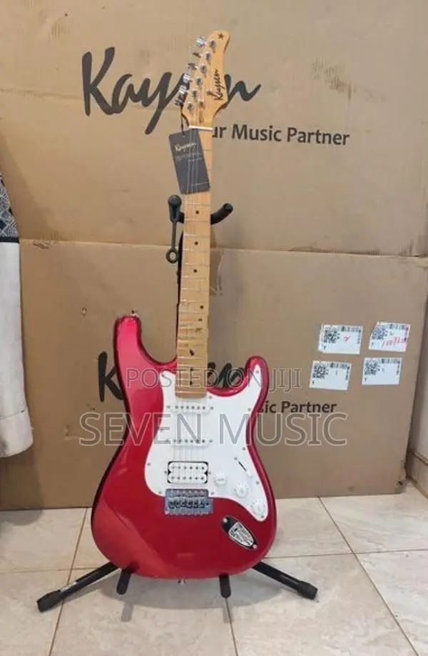 Electric Guitar Brand New