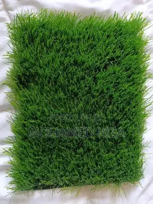 Grass Carpet