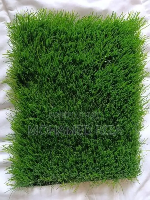 Grass Carpet