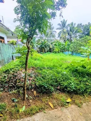 නවගමුව නගරයෙන් වටිනා ඉඩමක් විකිණීමට
