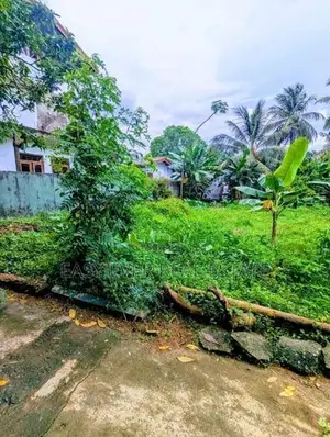 නවගමුව නගරයෙන් වටිනා ඉඩමක් විකිණීමට