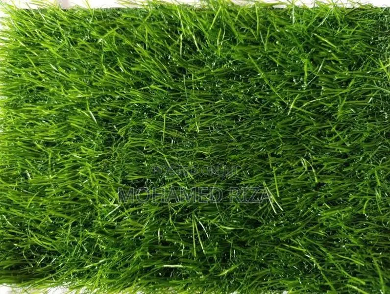 Grass Carpet