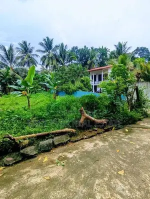 නවගමුව නගරයෙන් වටිනා ඉඩමක් විකිණීමට