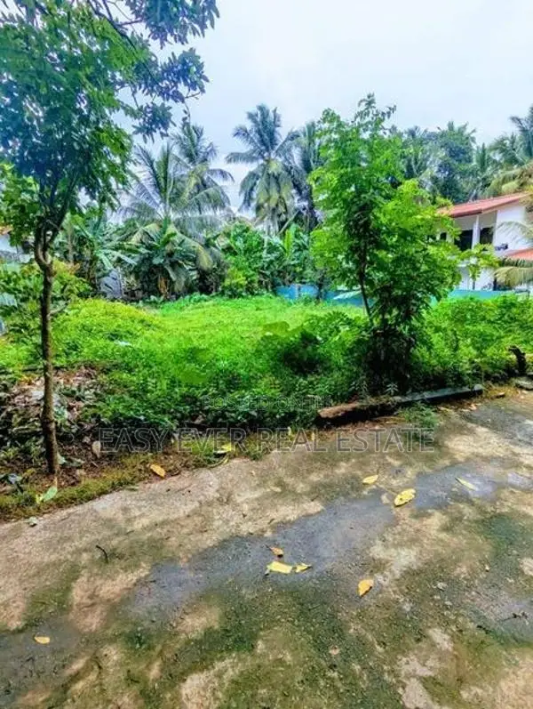 නවගමුව නගරයෙන් වටිනා ඉඩමක් විකිණීමට