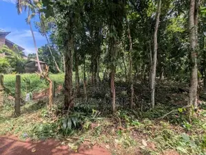 මිනුවන්ගොඩ නගරයට ආසන්නයෙන් ඉඩමක්