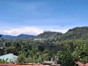 Land for Sale Nuwara Eliya
