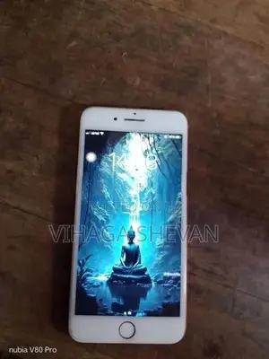 Apple iPhone 7 Plus (Used)