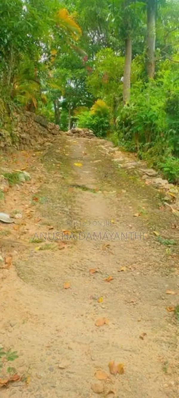 නිවාසක් විකිණීම බදුල්ල
