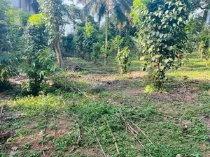 Land for Sale Hokandara