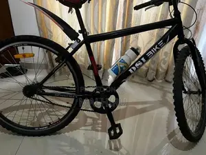 DSI Pro Bicycle