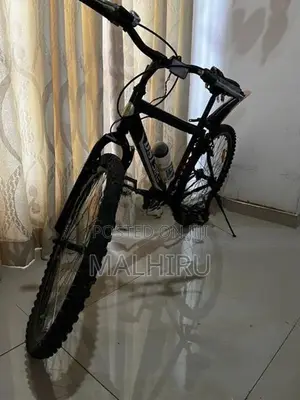 DSI Pro Bicycle