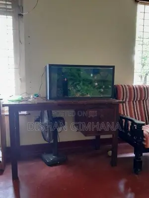 Fish Tank