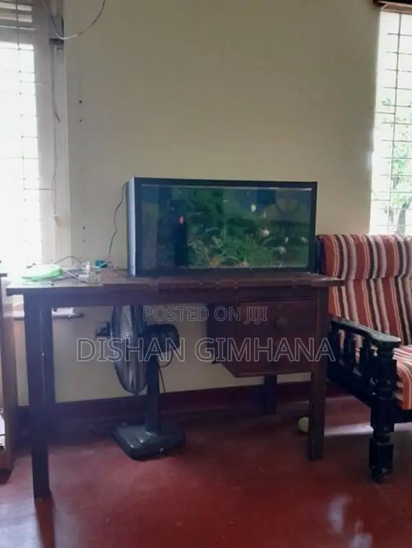 Fish Tank