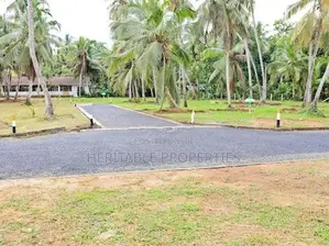 Land for Sale in Mahawewa