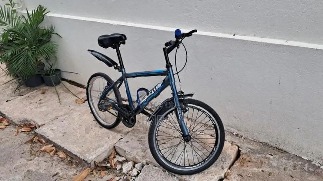 Lumstar Bicycle 20"