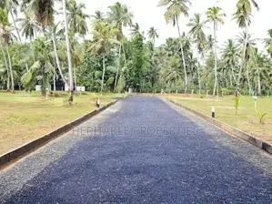 Land for Sale in Mahawewa