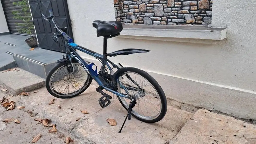 Lumstar Bicycle 20"