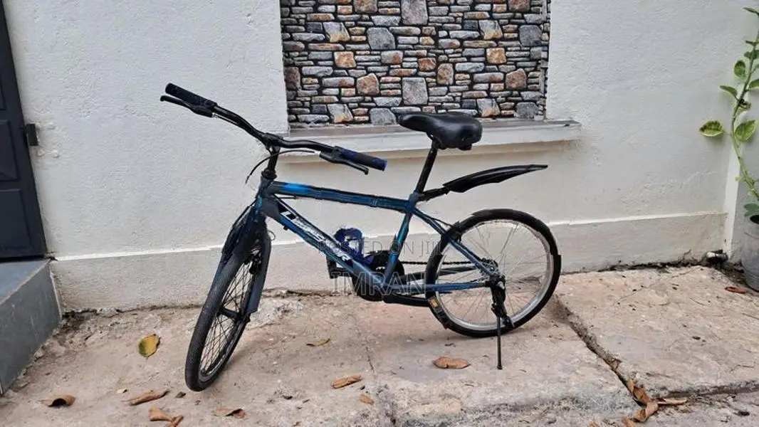 Lumstar Bicycle 20"
