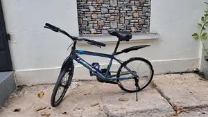 Lumstar Bicycle 20"