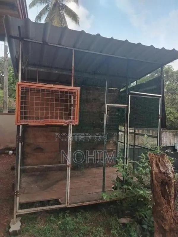 Pigeon cage