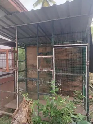 Pigeon cage
