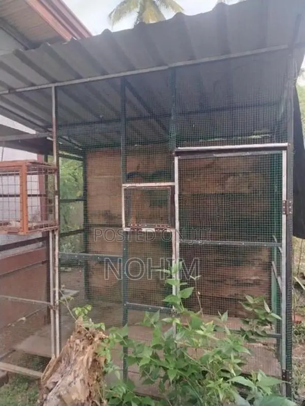 Pigeon cage
