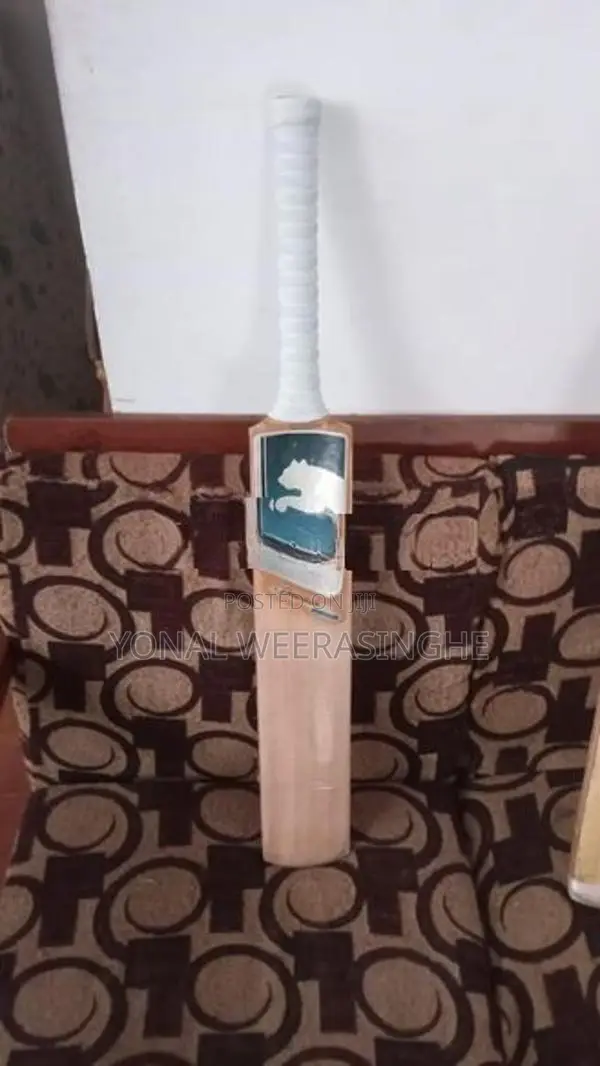 Premium Kashmir Willow Cricket Bats