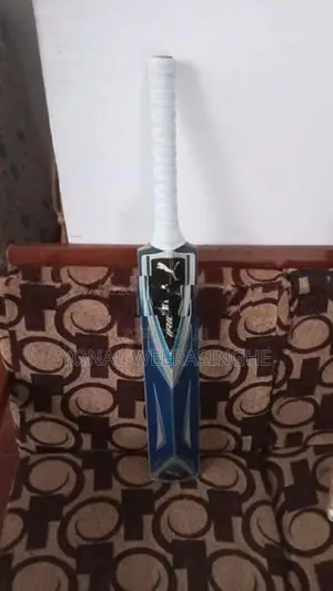 Premium Kashmir Willow Cricket Bats