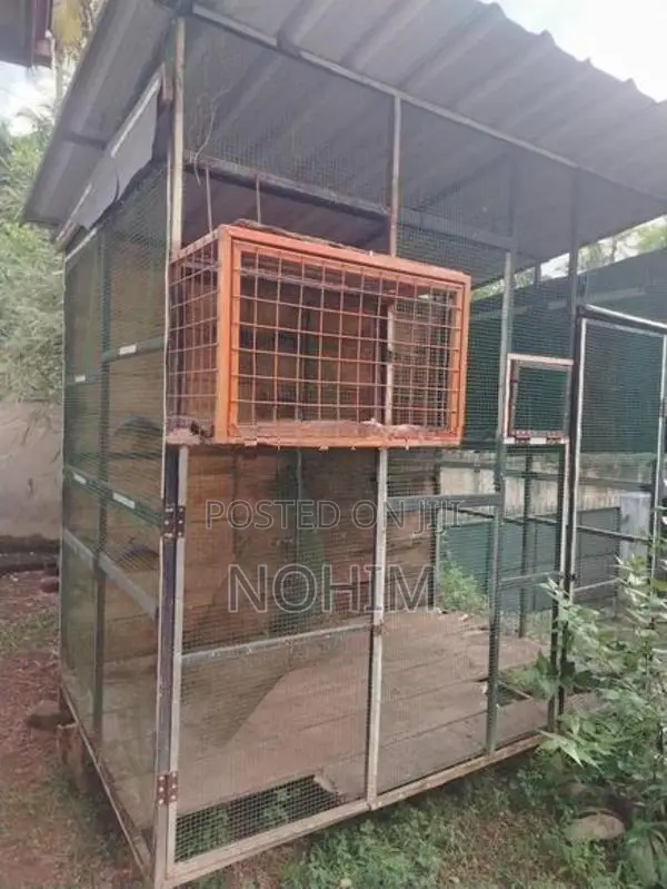 Pigeon cage