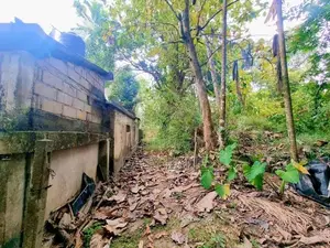 දෙවොලපොල (කටුනායක පාරට 100m) ඉඩම