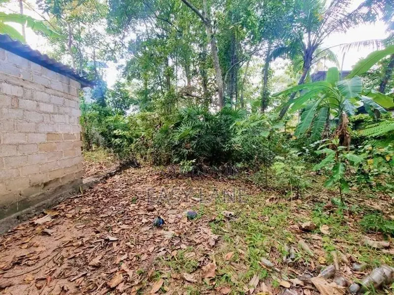 දෙවොලපොල (කටුනායක පාරට 100m) ඉඩම
